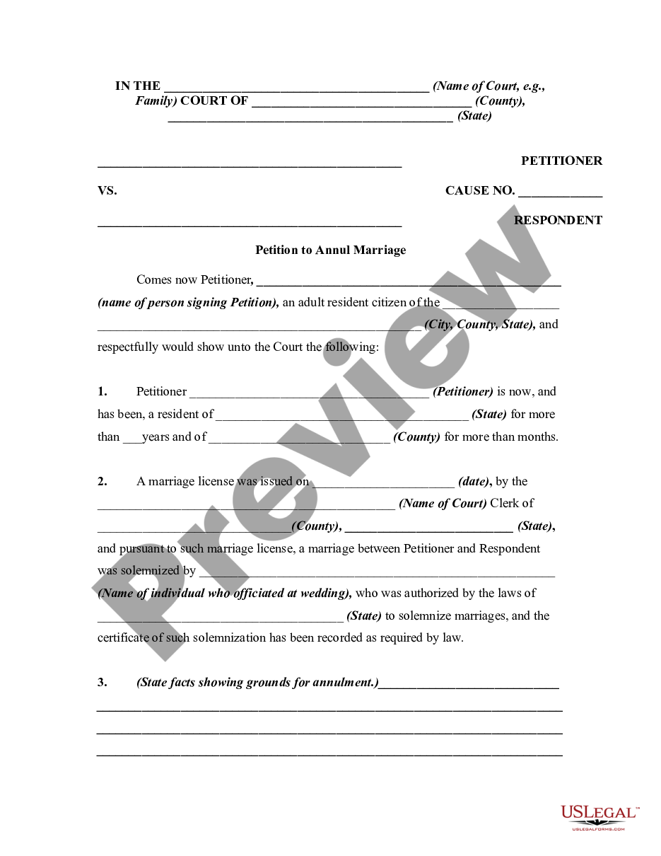page 0 Petition to Annul Marriage with No Children or Property preview