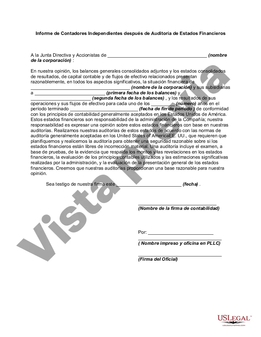 Preview Informe de Contadores Independientes después de Auditoría de Estados Financieros