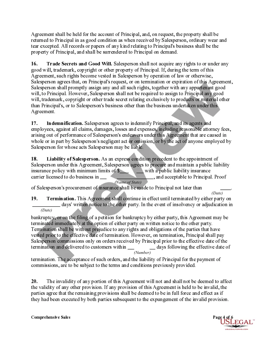 Preview Comprehensive Sales Agency Agreement with Exclusive Territory