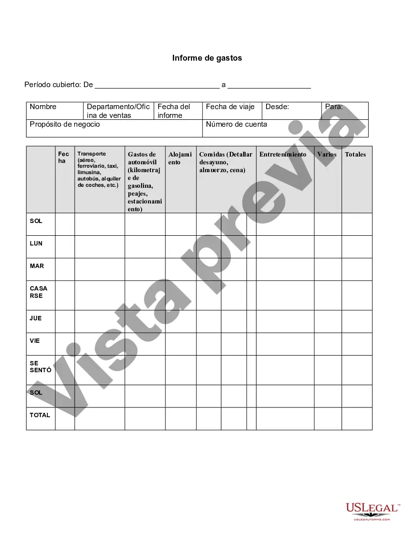 Preview Informe de gastos