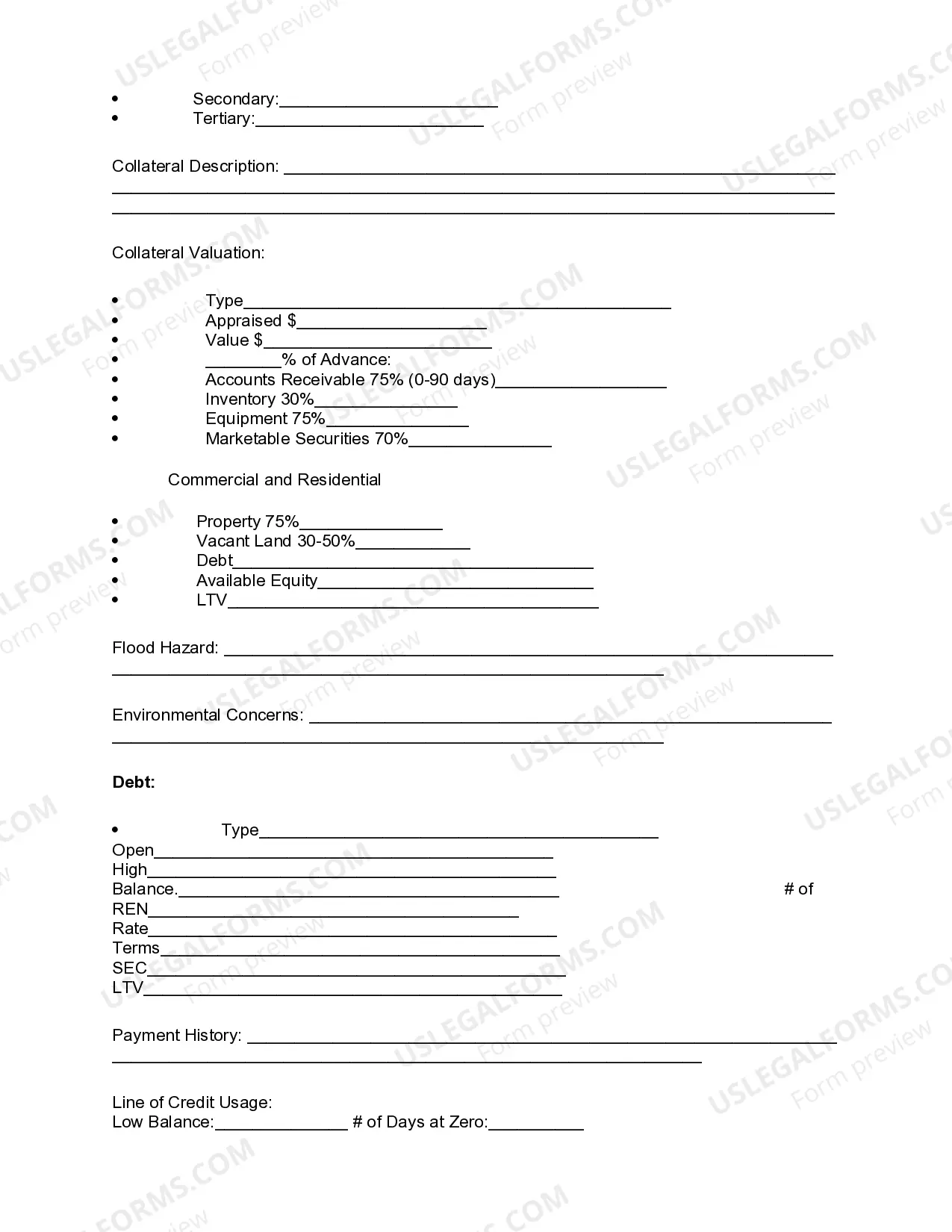 Preview Review of Loan Application