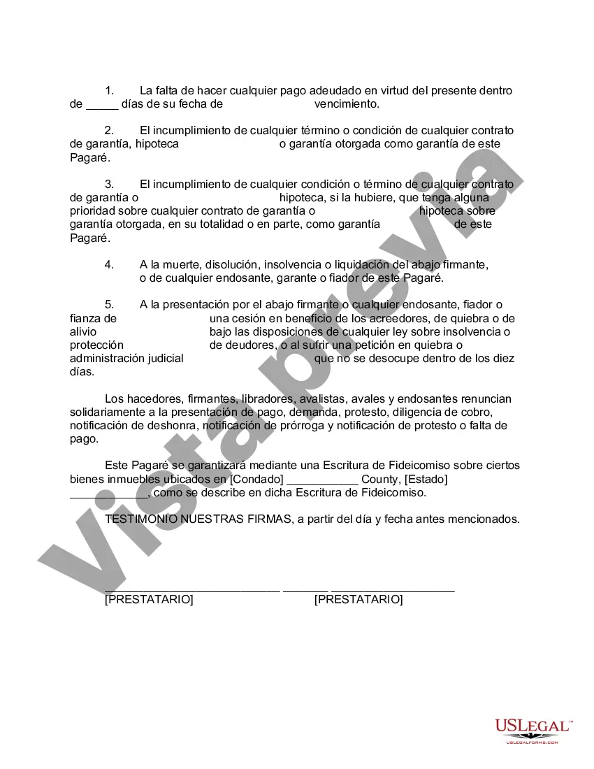 Preview Pagaré - Forma larga