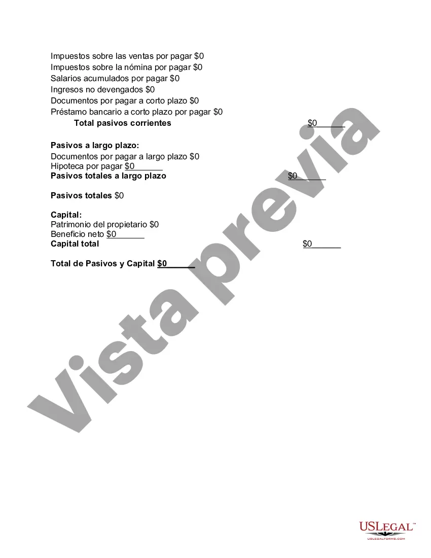 Preview Hoja de balance