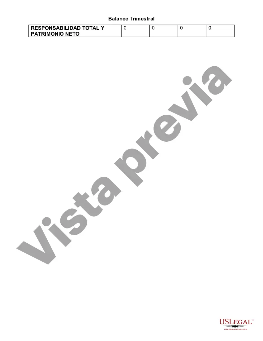 Preview Balance Trimestral