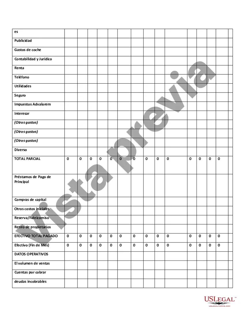Preview Flujo de efectivo de doce meses