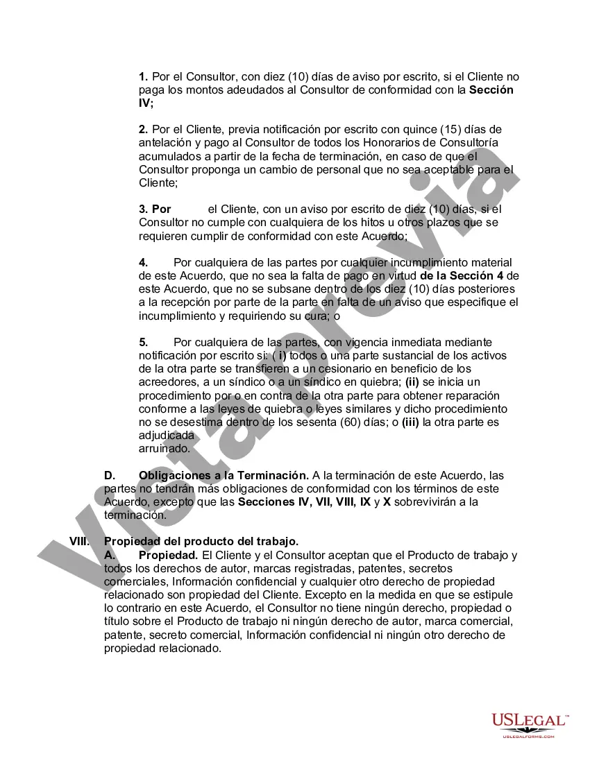 Preview Acuerdo de consultoría de software