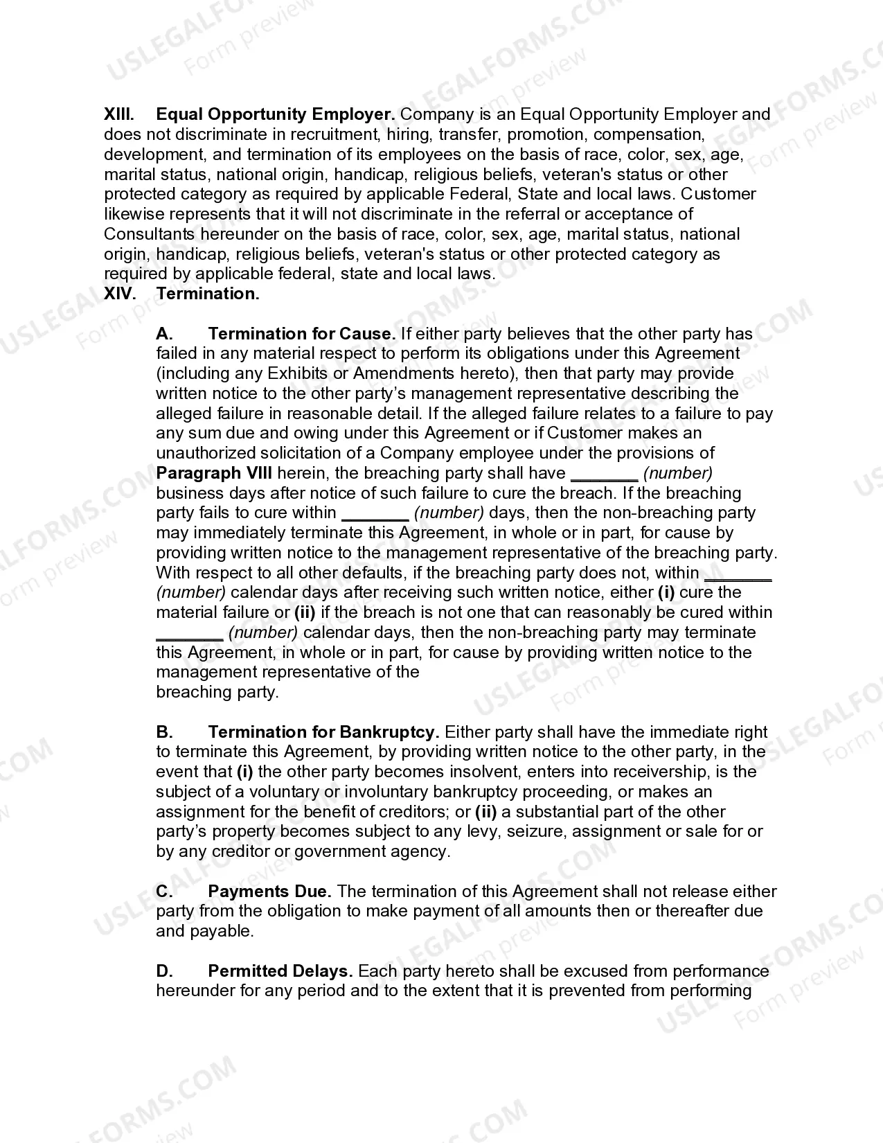 Preview Information Technology Services Agreement