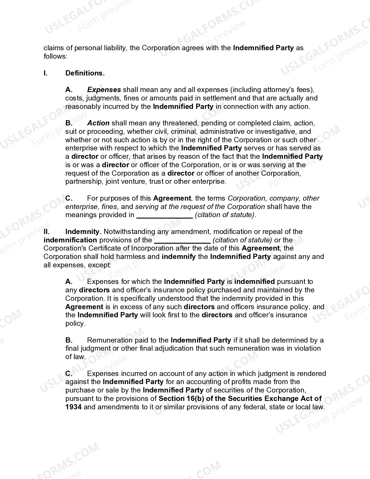 Preview Director's Indemnification Agreement