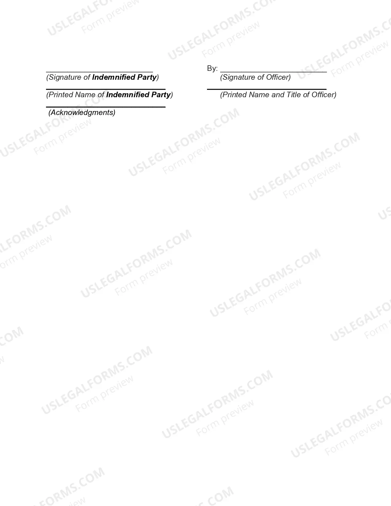 Preview Director's Indemnification Agreement