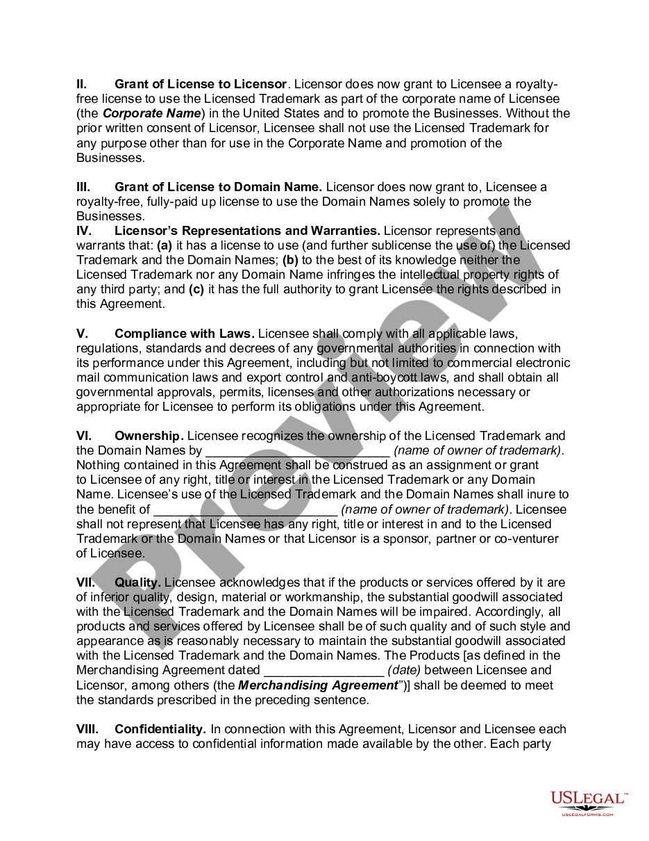 page 1 License Agreement -- Sublicense of Trademark and Domain Names preview