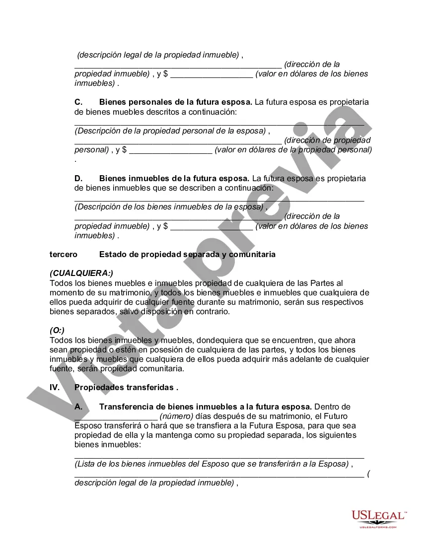 Preview Acuerdo de propiedad prematrimonial que designa el estado de la propiedad separada y comunitaria