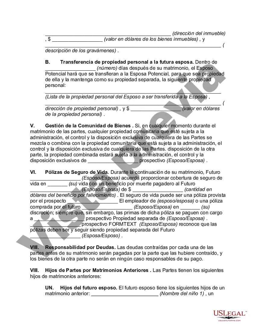 Preview Acuerdo de propiedad prematrimonial que designa el estado de la propiedad separada y comunitaria