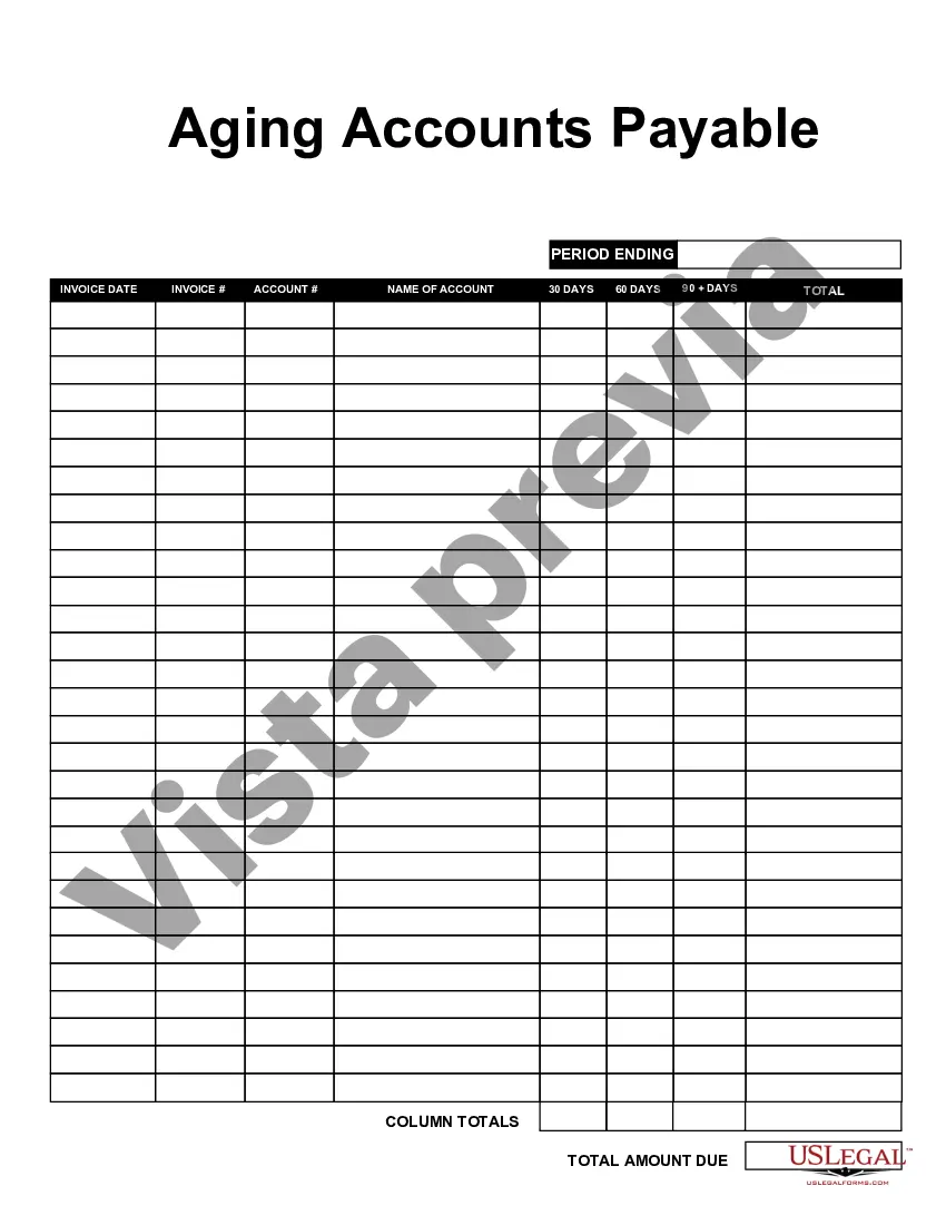 Preview Antigüedad de cuentas por pagar