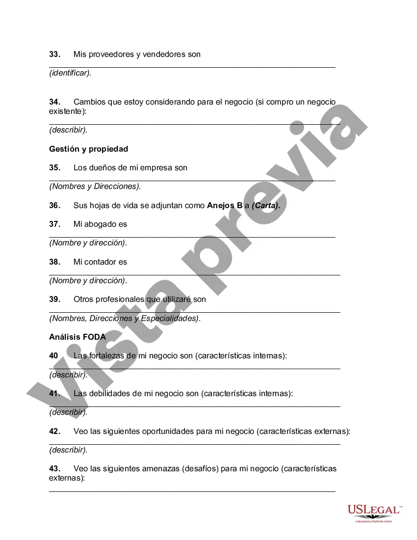 Preview Esquema detallado y contenido de un plan de negocios