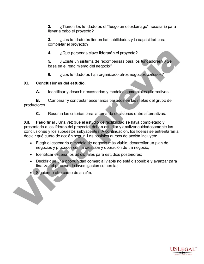Preview Esquema del estudio de factibilidad