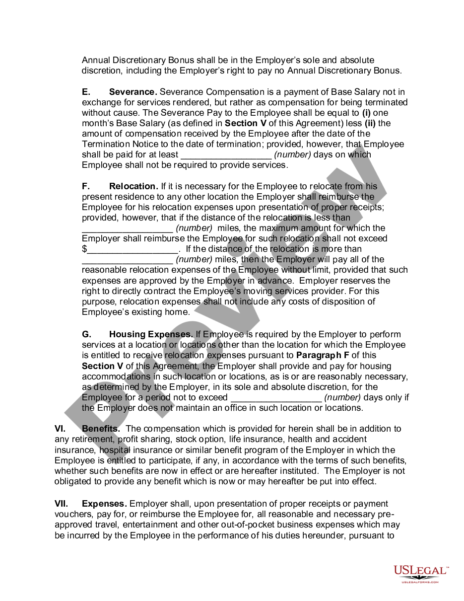 page 3 Employment Agreement with Senior Software Developer preview
