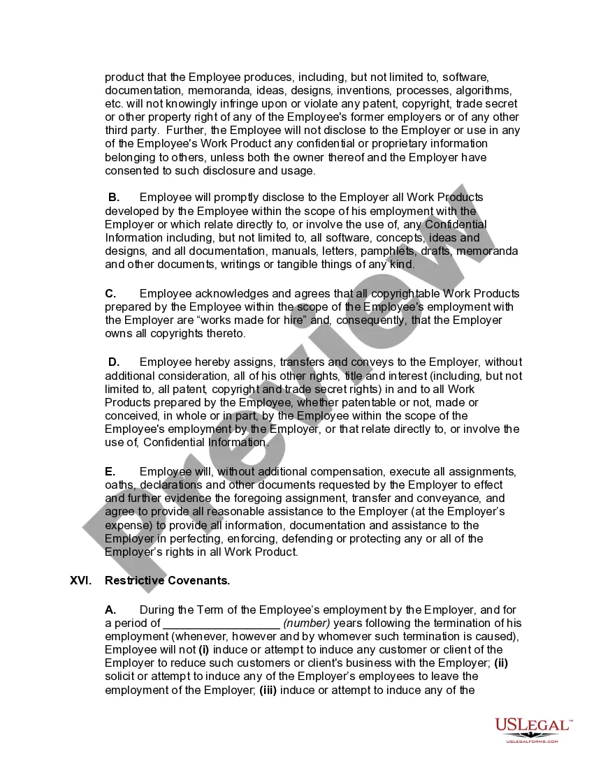 Preview Employment Agreement with Senior Software Developer