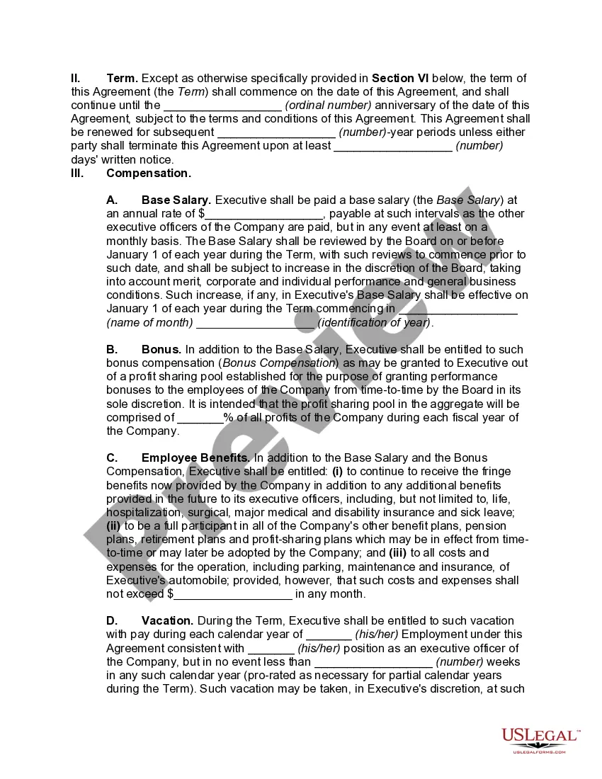 Preview Employment of Managing Director of Limited Liability Company