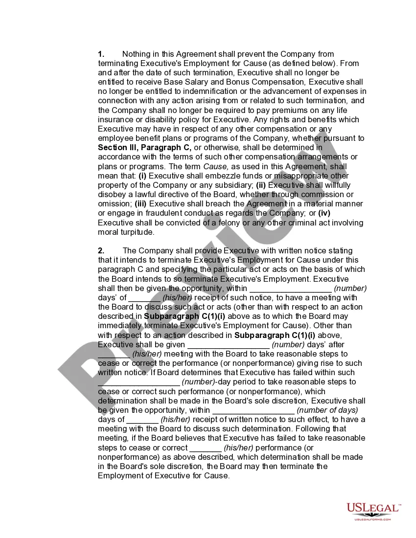 Preview Employment of Managing Director of Limited Liability Company