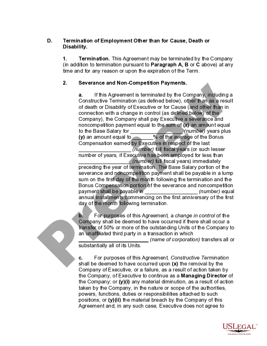 Preview Employment of Managing Director of Limited Liability Company