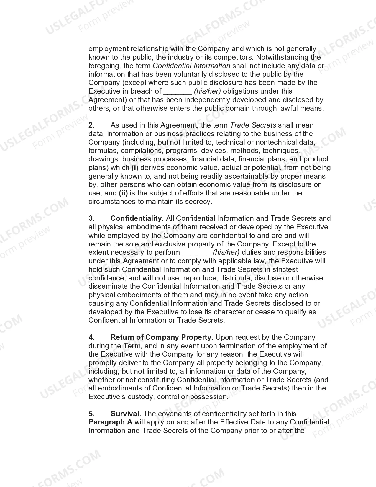 Preview Employment Agreement with Executive Vice President and Chief Financial Officer