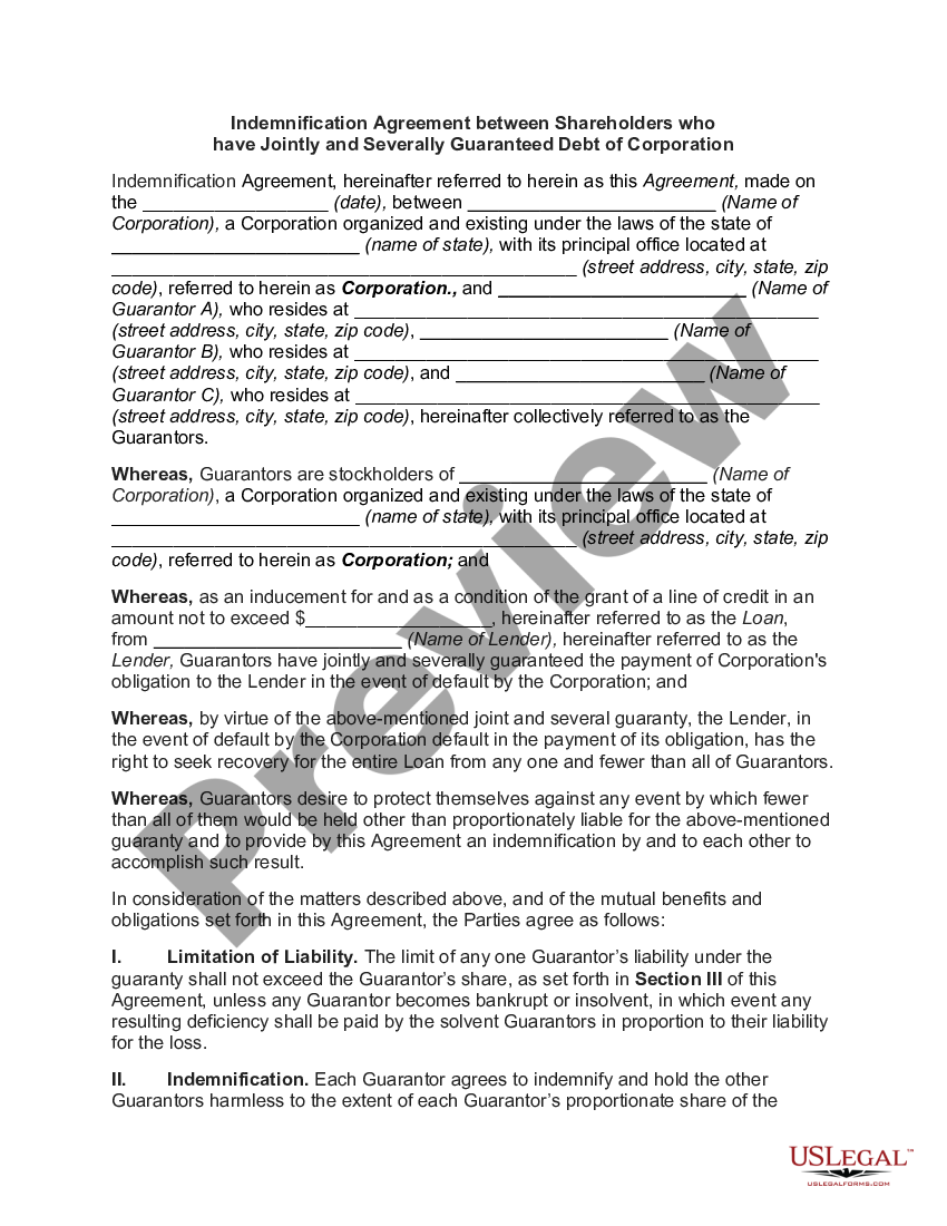 Indemnification Agreement Between Shareholders Who Have Jointly And ...