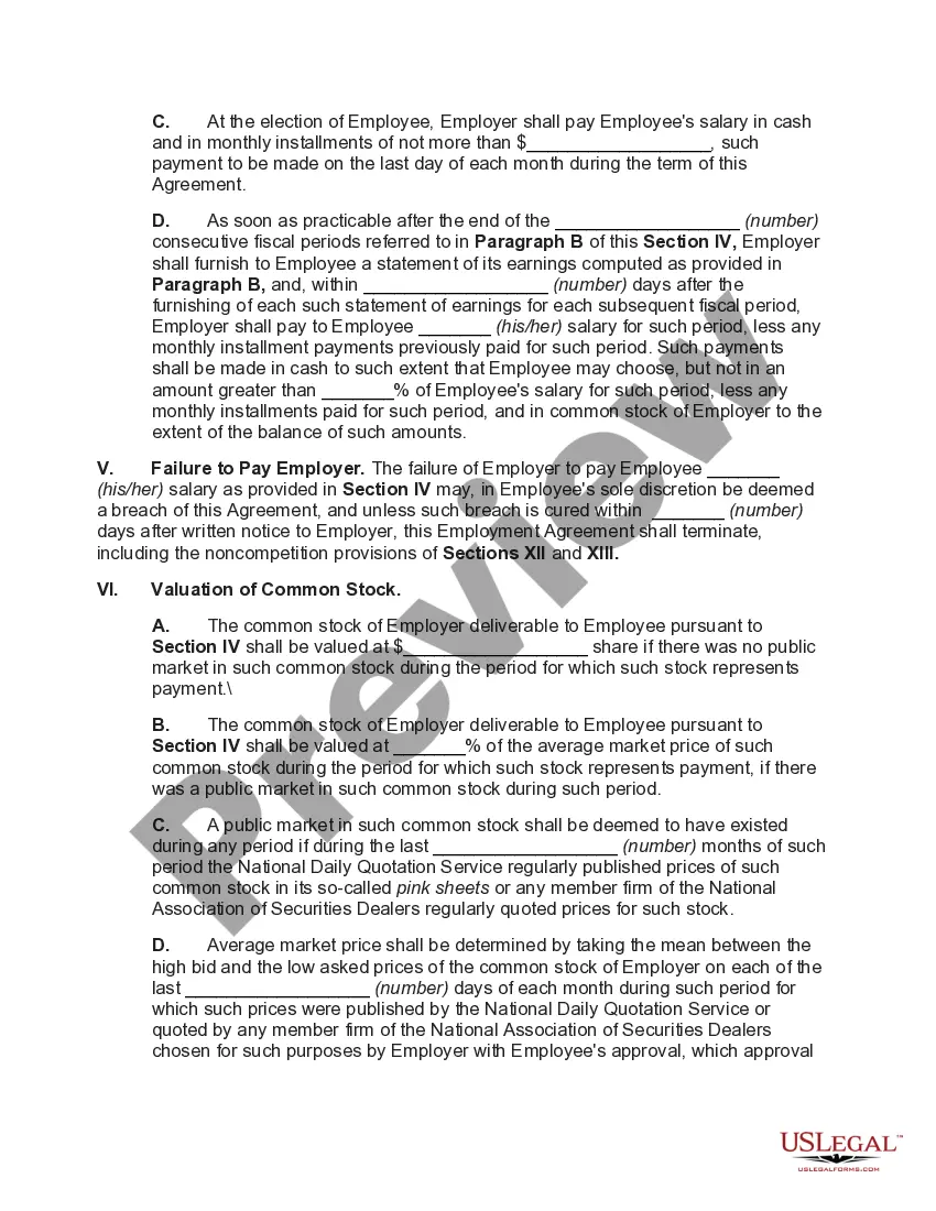 Preview Employment of Executive for Salary plus Common Stock with Option to Purchase Common Stock