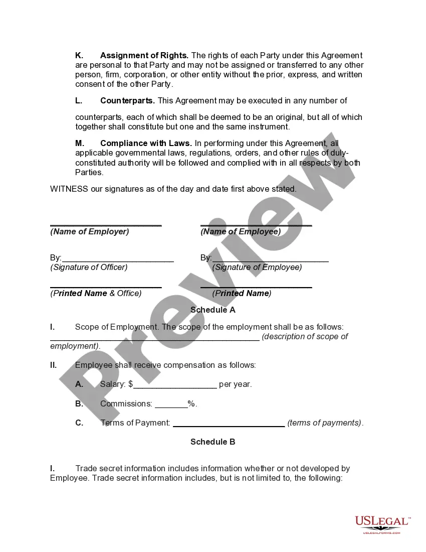 Preview Employment of Employee by Employer in Technology Business
