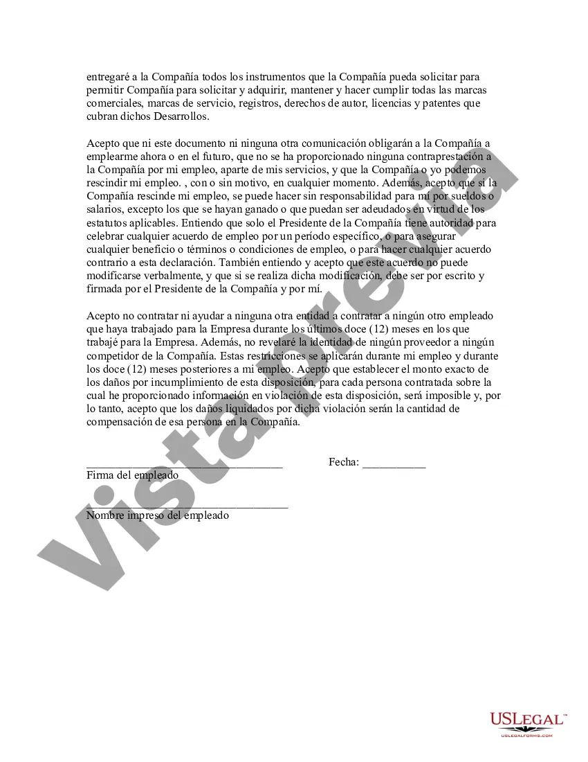 Preview Declaración de Empleo