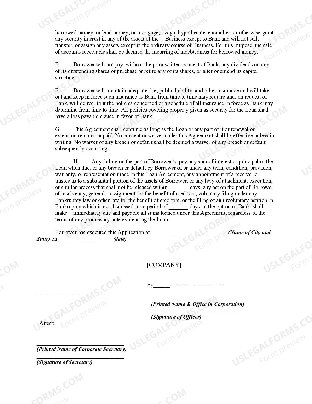 Preview Application and Loan Agreement for a Business Loan