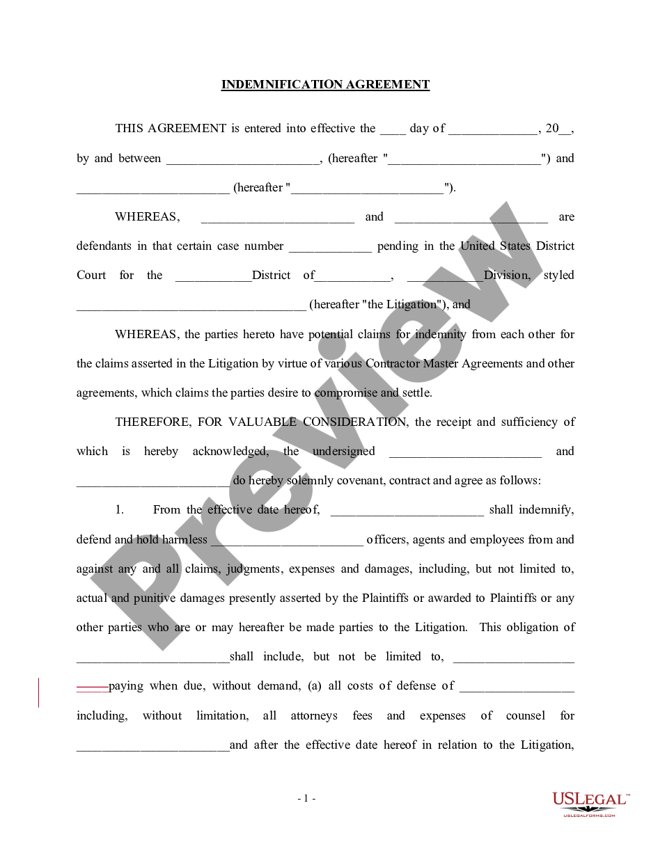 page 0 Indemnification Agreement for Litigation preview