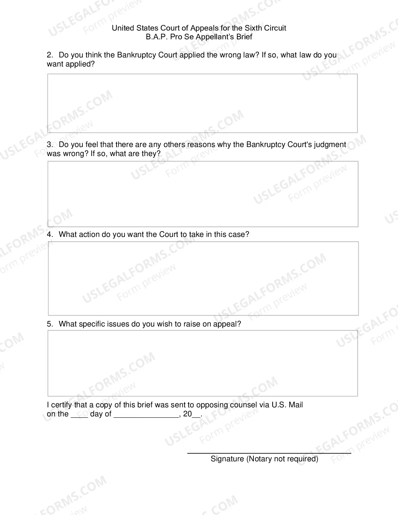 Preview Pro Se BAP Brief Form