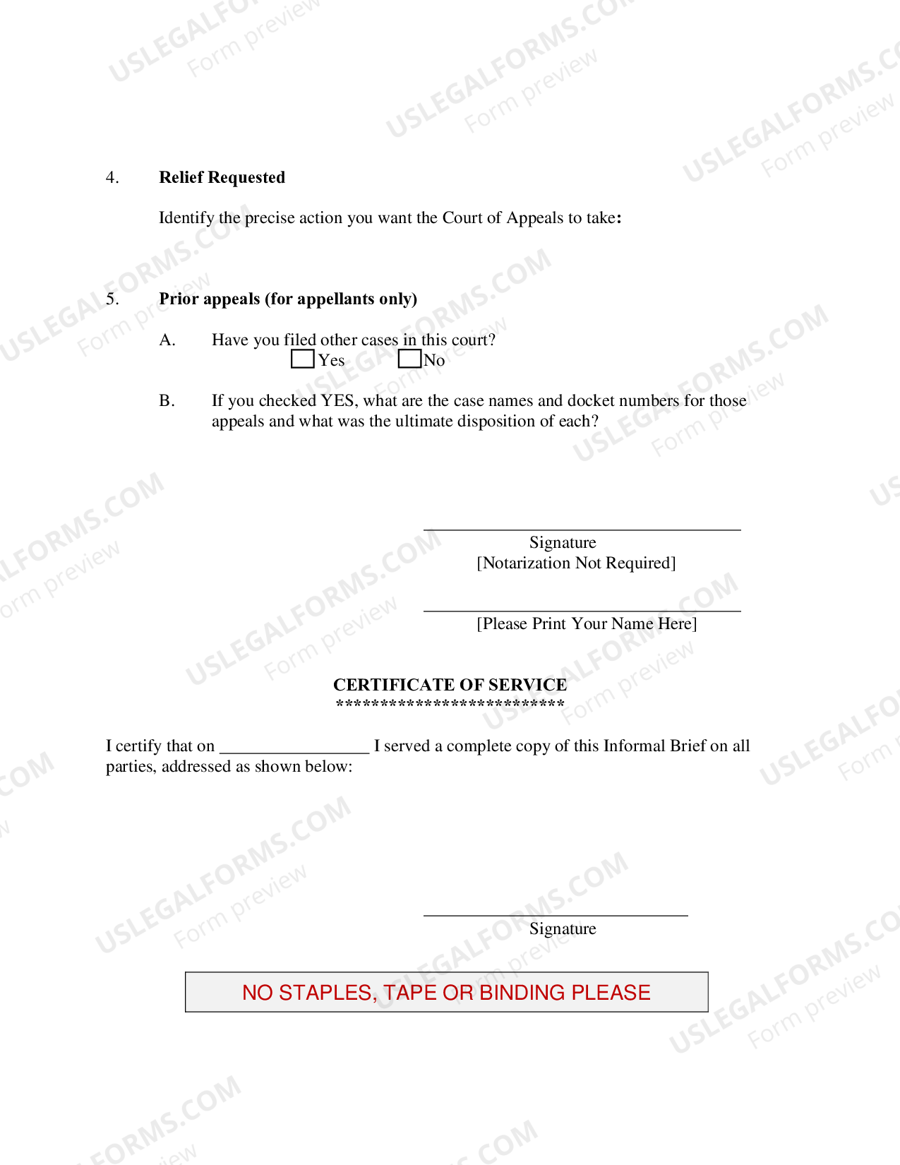 Informal Brief (Other Pro Se Cases) US Legal Forms