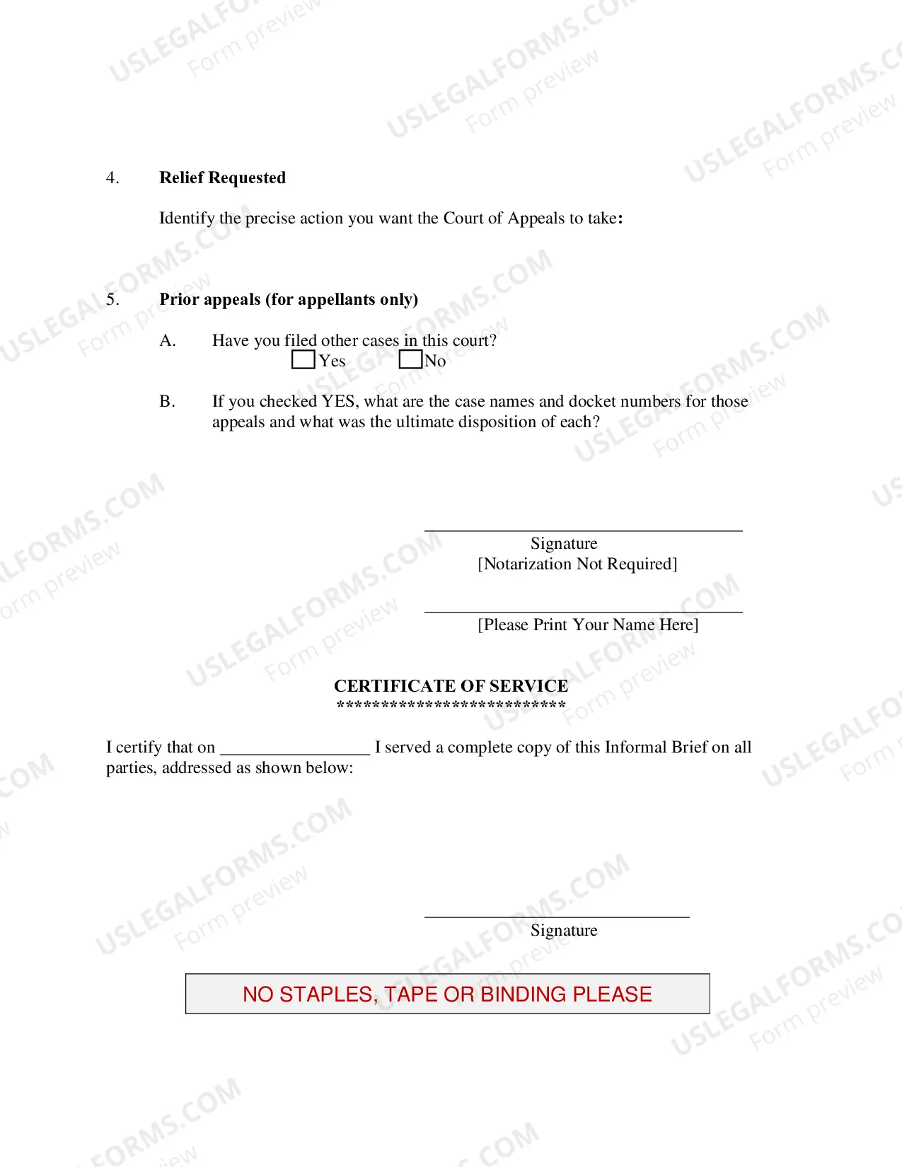 Preview Informal Brief (Other Pro Se Cases)