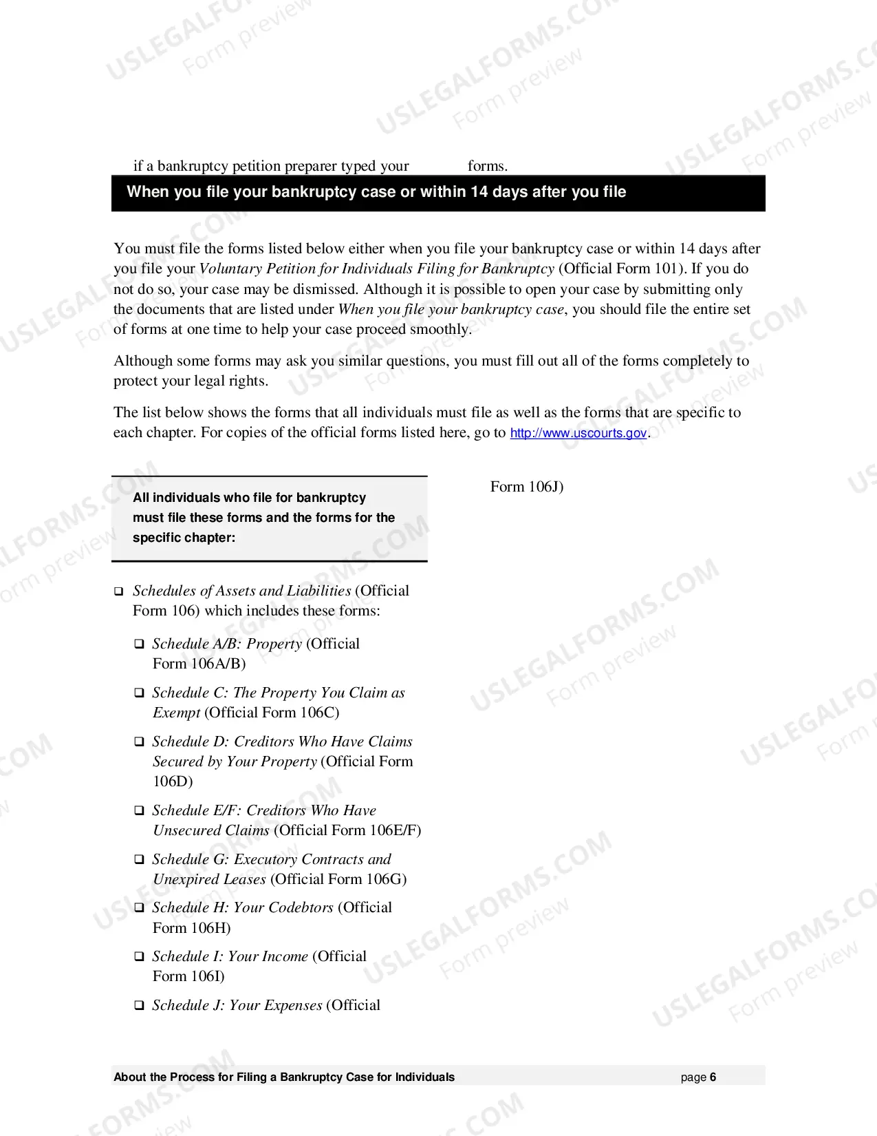 Preview Instructions for Individuals Filing for Bankruptcy