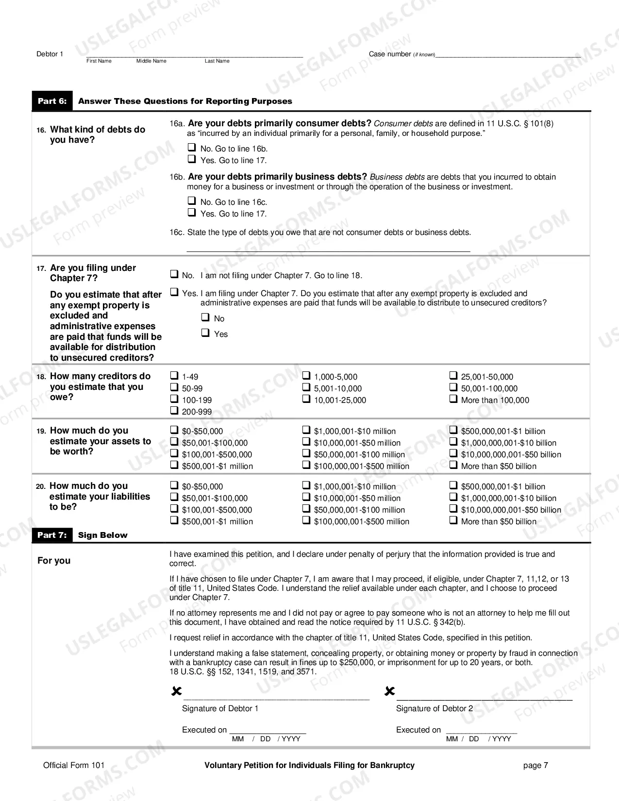 Preview Voluntary Petition - Form 1