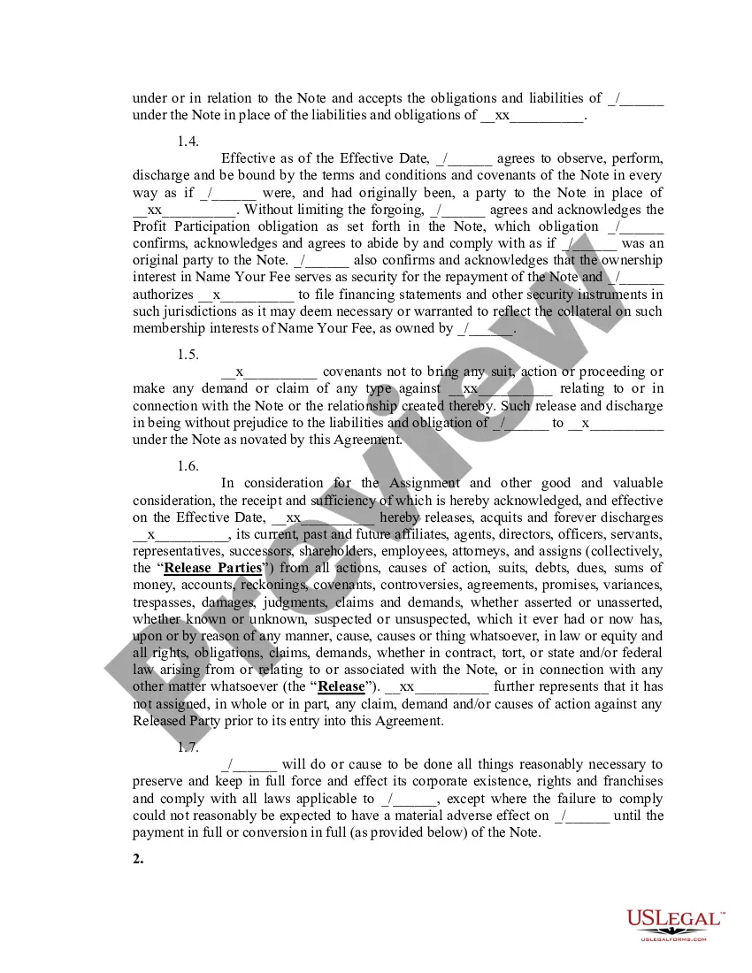 Preview Assignment and Novation Agreement