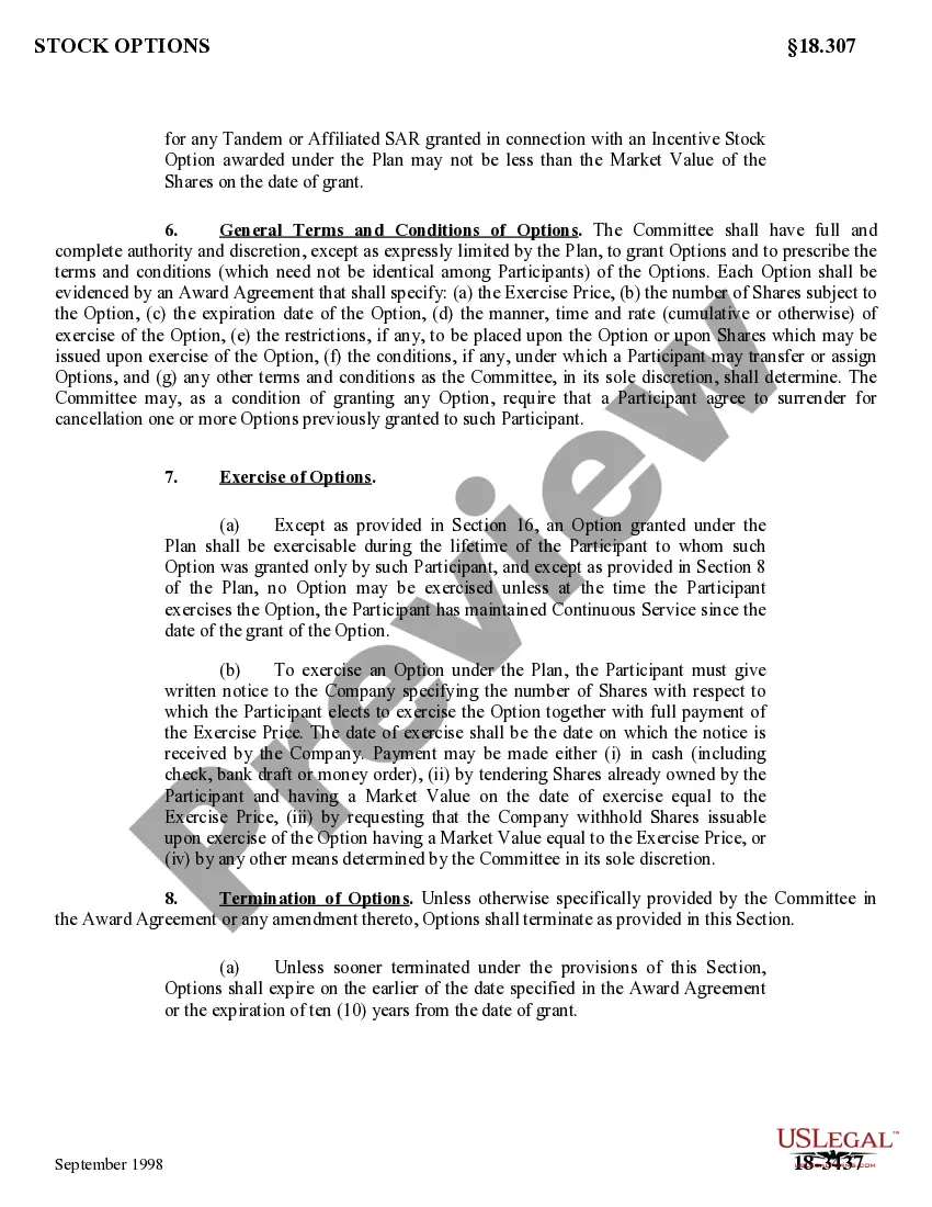 Preview Stock Option and Incentive Plan of Hurco Companies, Inc.