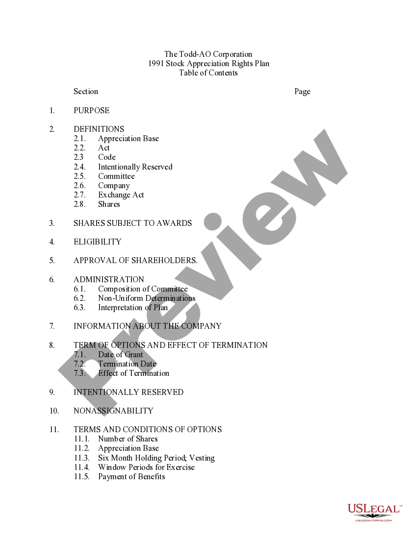 Stock Appreciation Rights Plan of The ToddAO Corporation Stock