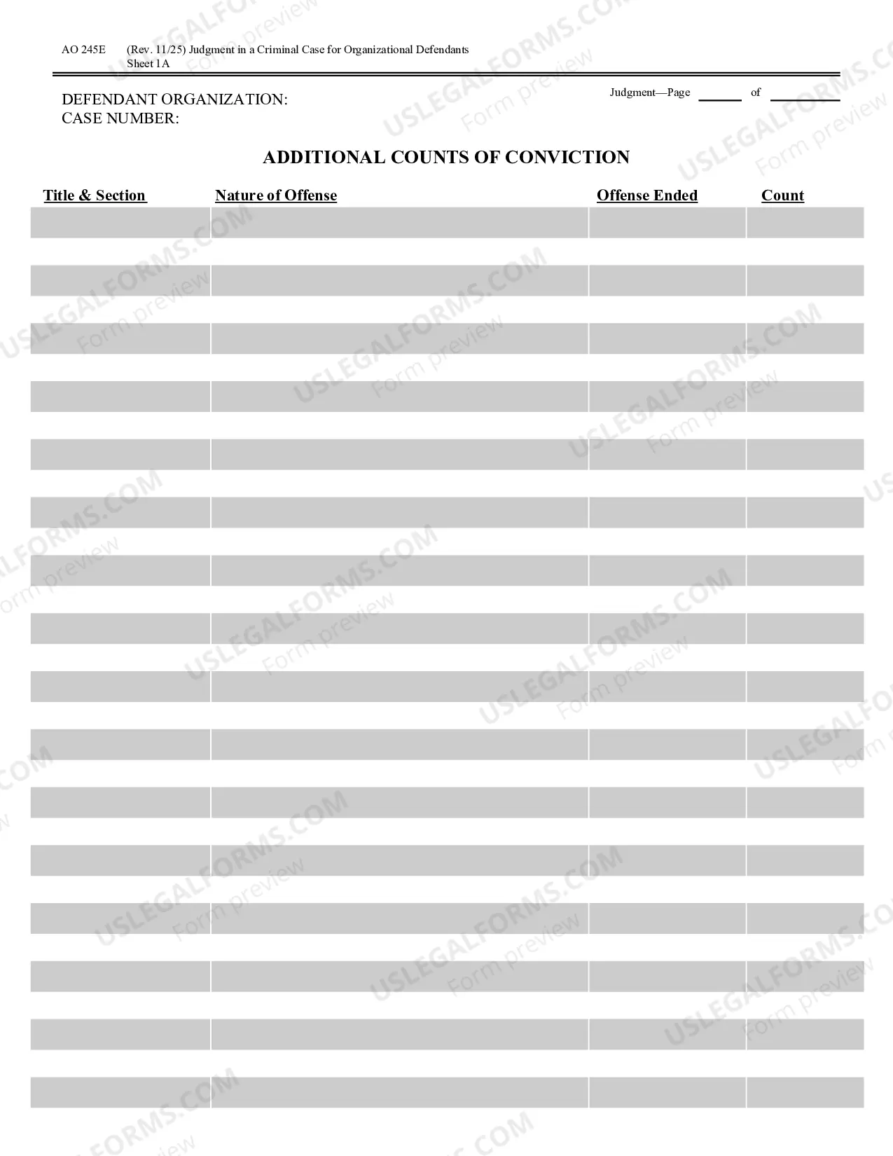 Preview Judgment in a Criminal Case (for Organizational Defendants)