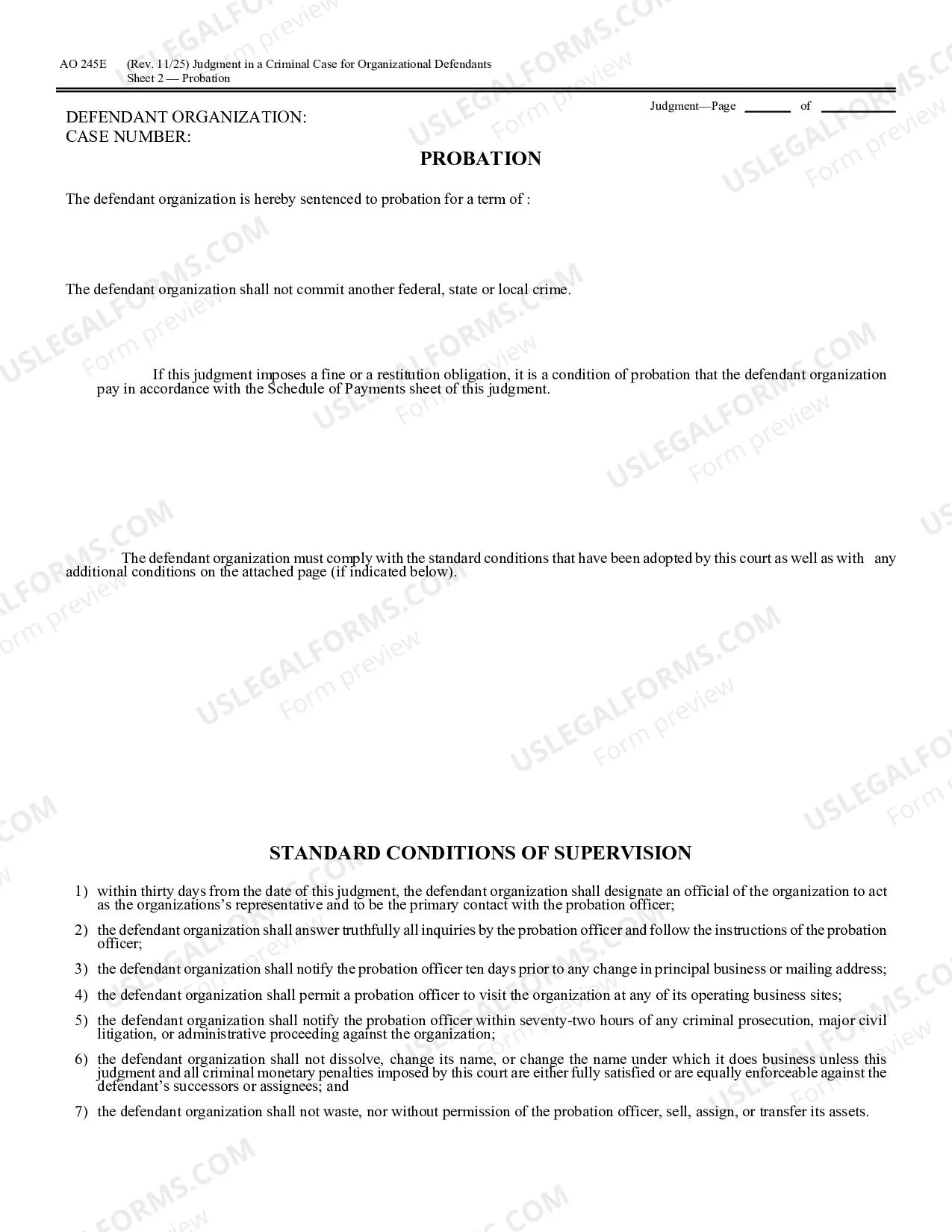 Preview Judgment in a Criminal Case (for Organizational Defendants)