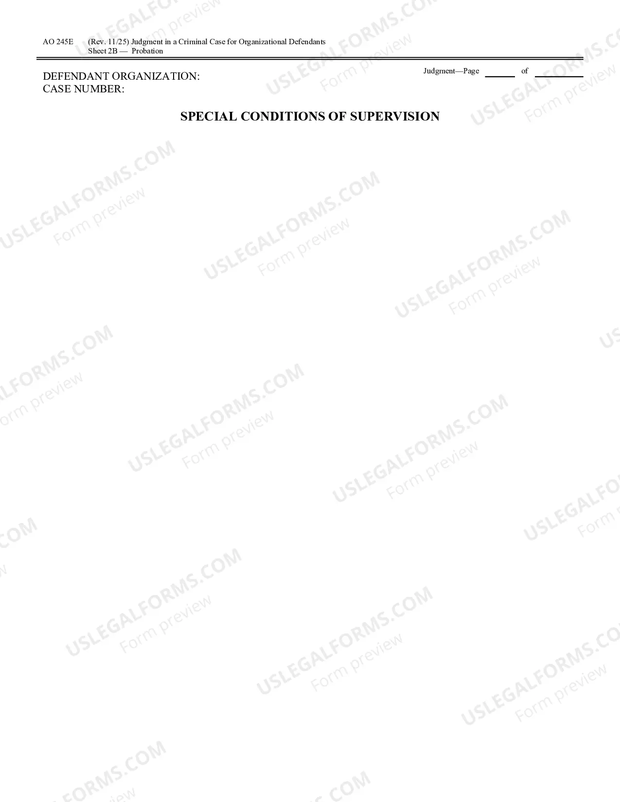 Preview Judgment in a Criminal Case (for Organizational Defendants)