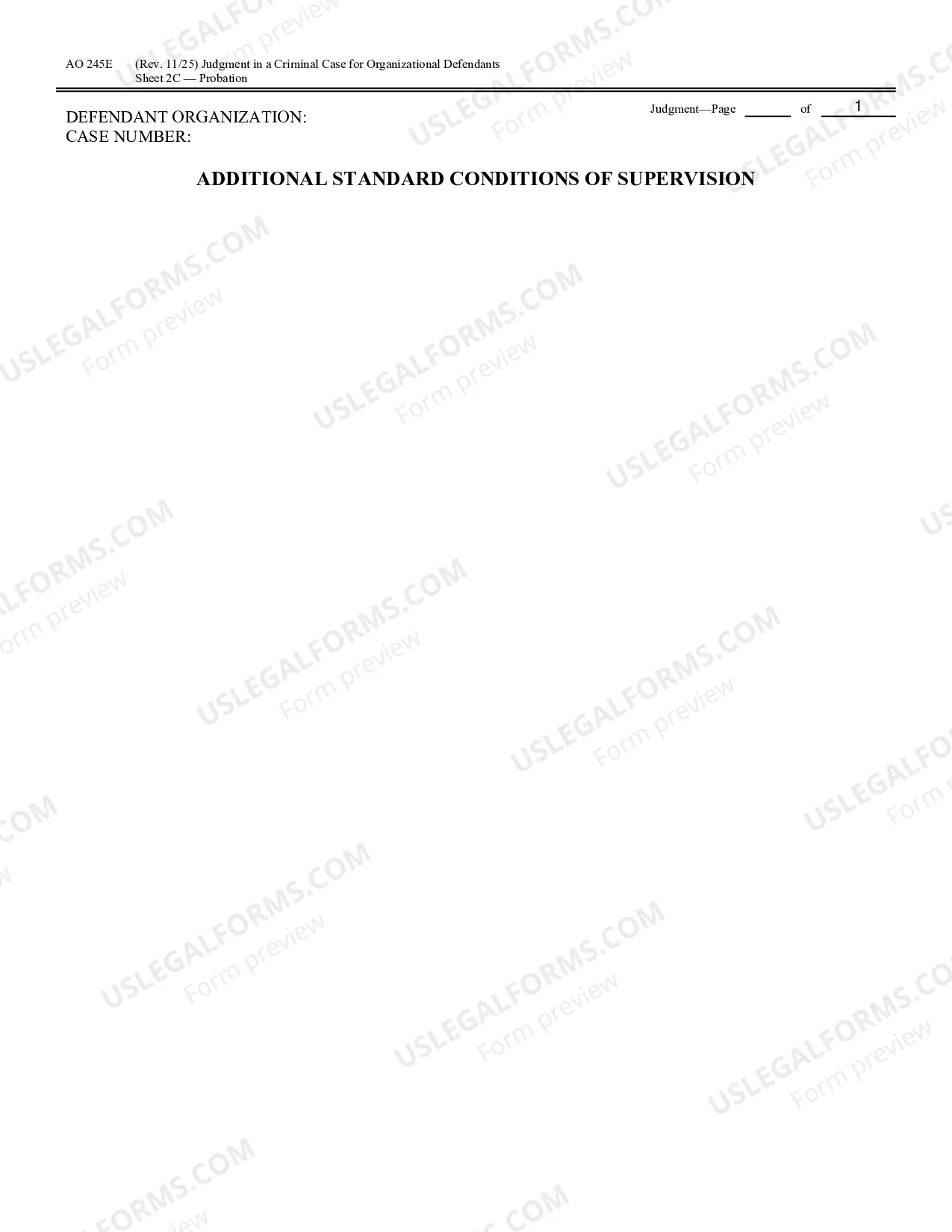 Preview Judgment in a Criminal Case (for Organizational Defendants)