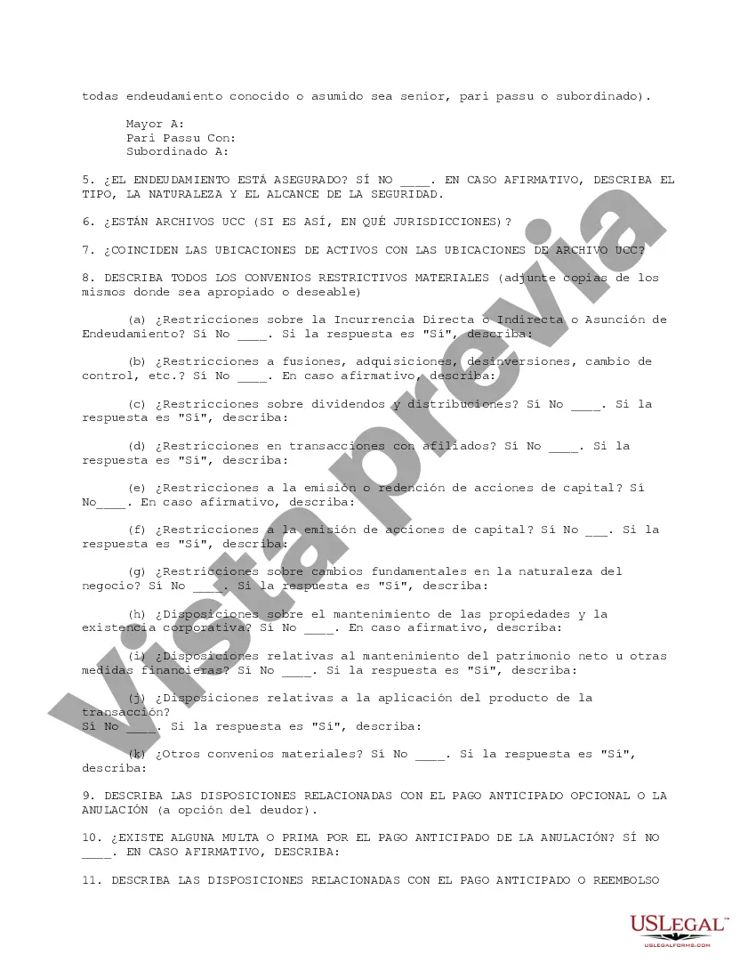 Preview Formulario de trabajo básico del instrumento de deuda