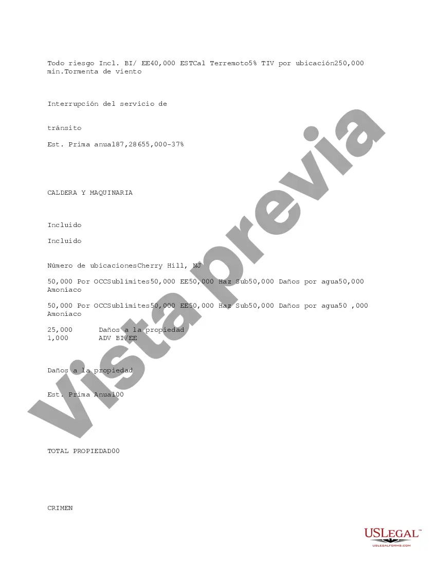 Preview Matriz de especialistas en evaluación de riesgos