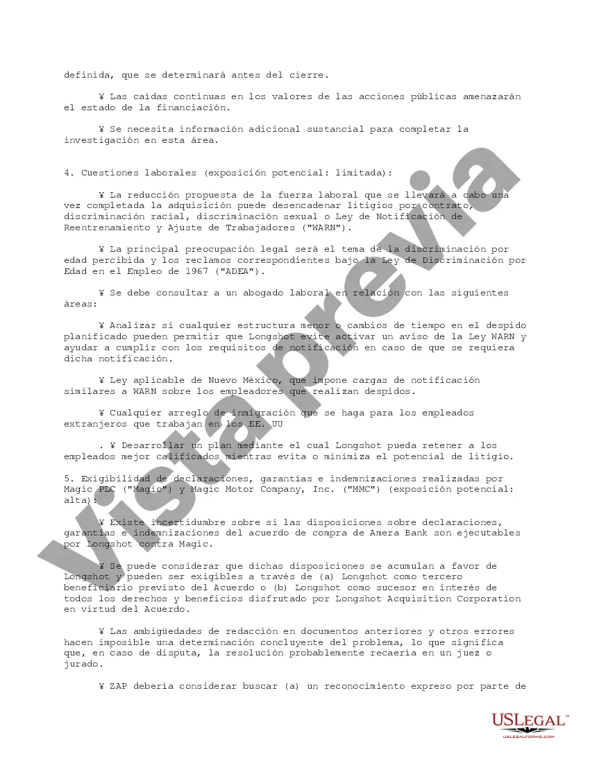 Preview Resumen ejecutivo de viñetas