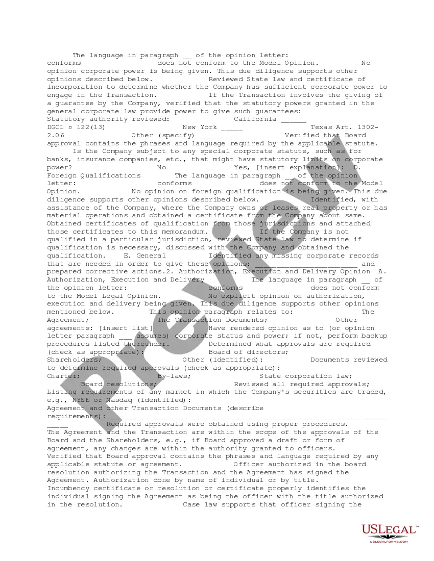 Preview Legal Opinion Backup