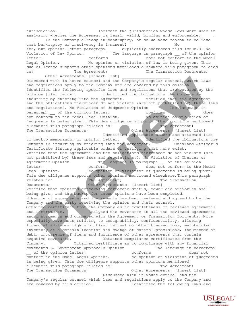 Preview Legal Opinion Backup