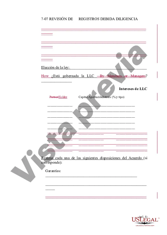 Preview Resumen de datos de la compañía de responsabilidad limitada