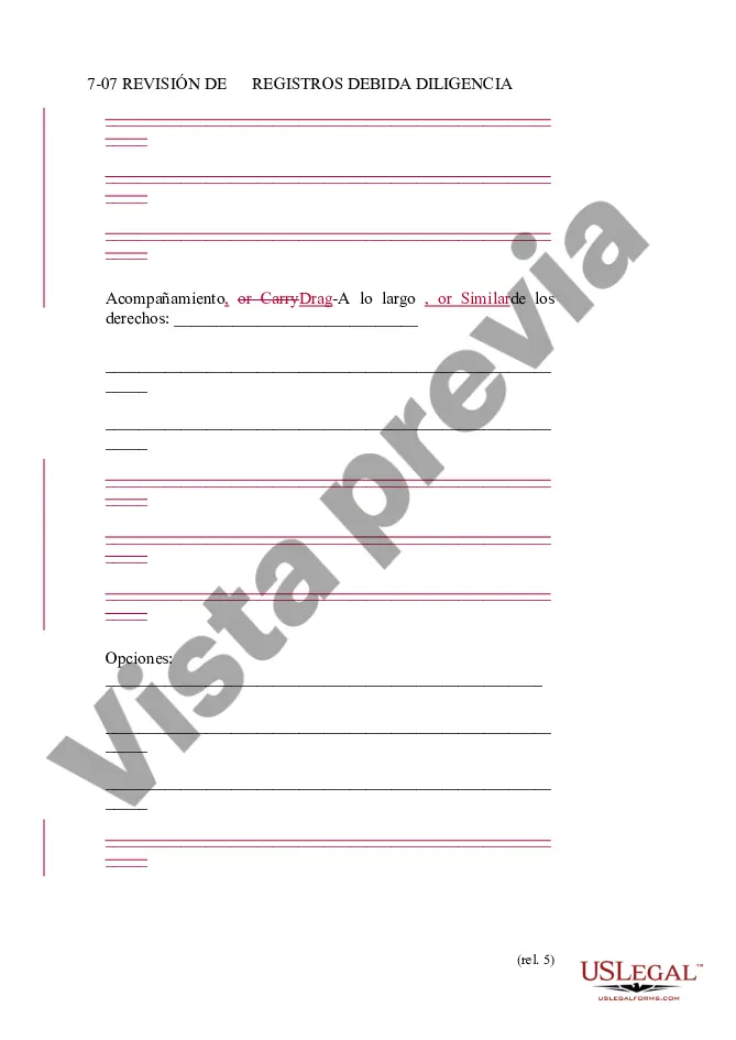 Preview Resumen de datos de la compañía de responsabilidad limitada